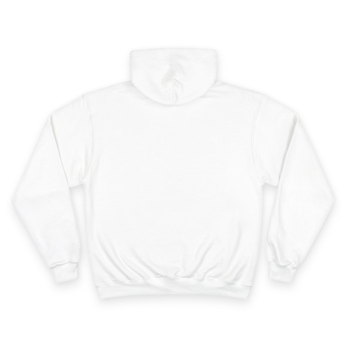 BOMBAY BICYCLE CLUB Champion Hoodie