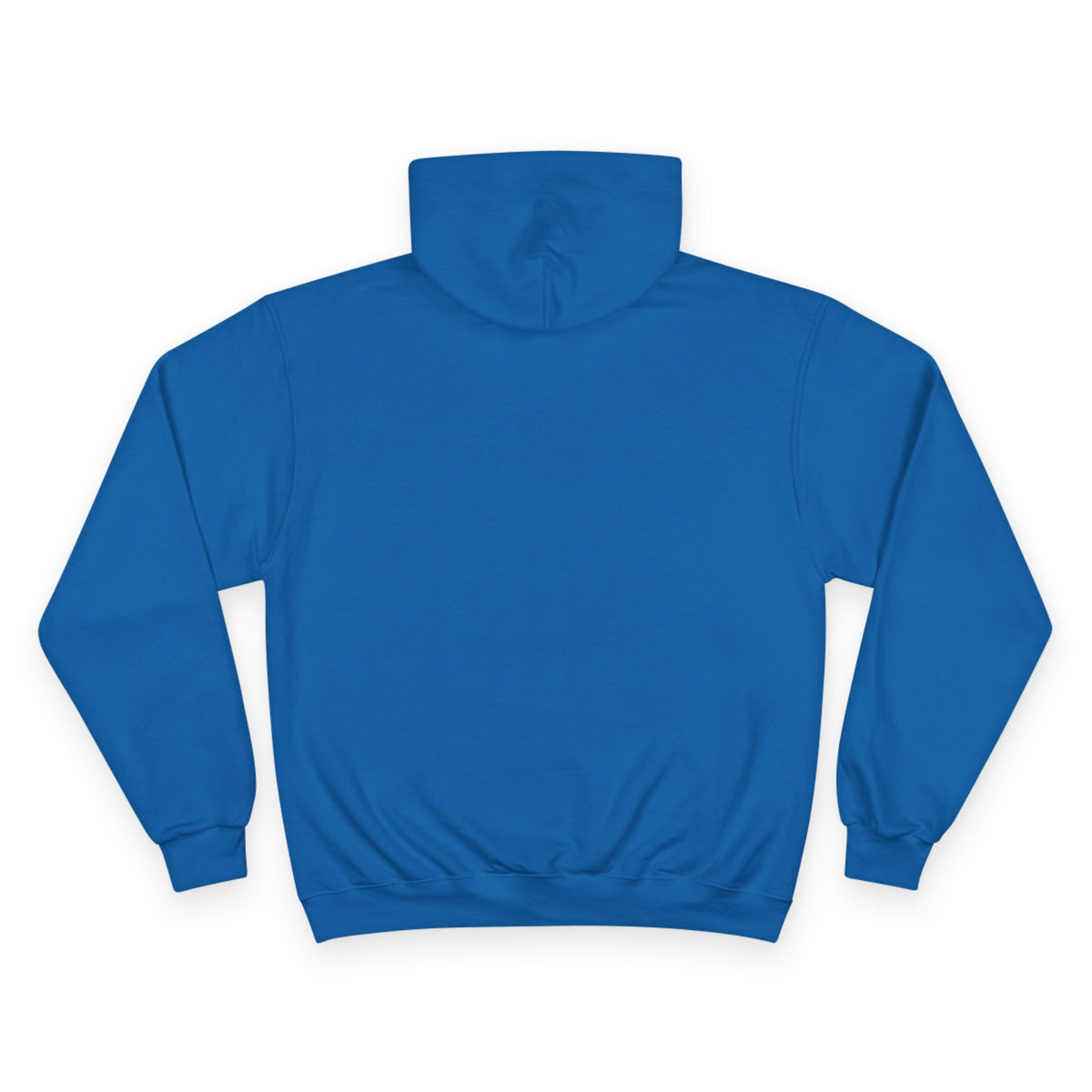 BOMBAY BICYCLE CLUB Champion Hoodie