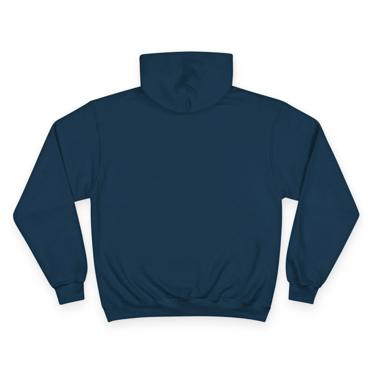 BOMBAY BICYCLE CLUB Champion Hoodie