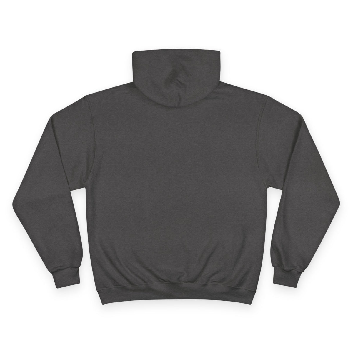BOMBAY BICYCLE CLUB Champion Hoodie
